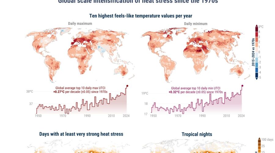 heat stress